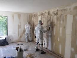 Professional Mold Inspection in West Grove, PA